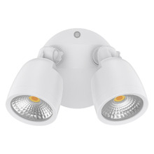 Farah 2 Light Outdoor Wall Spotlight